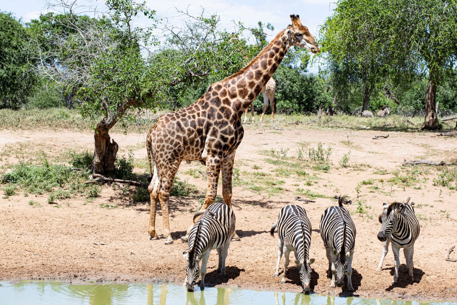 Tanzania Authentic Project
